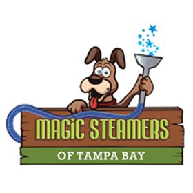 Magic steamers of tampq bay
